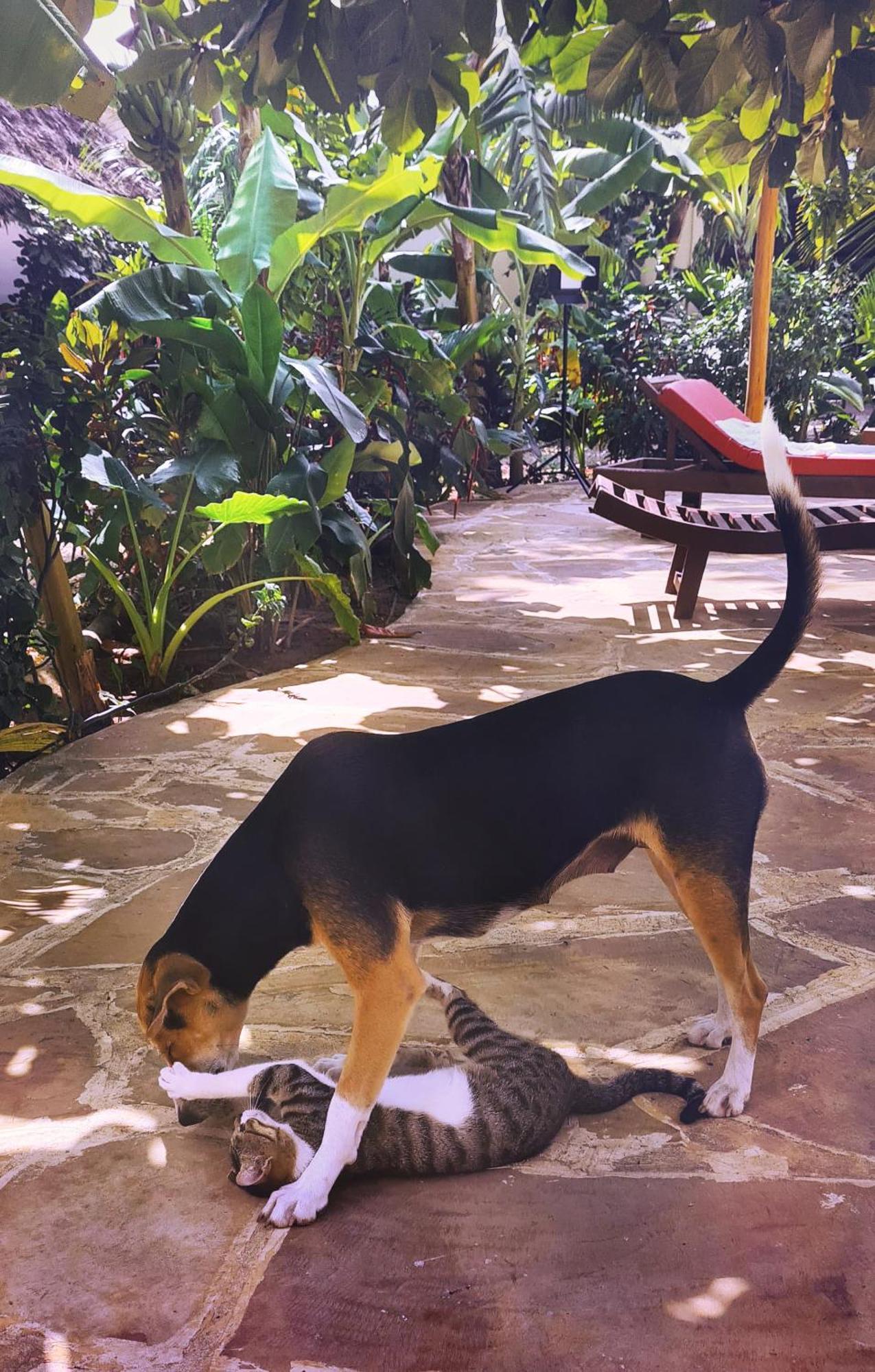Yasa Boutique Hotel นูงวี ภายนอก รูปภาพ